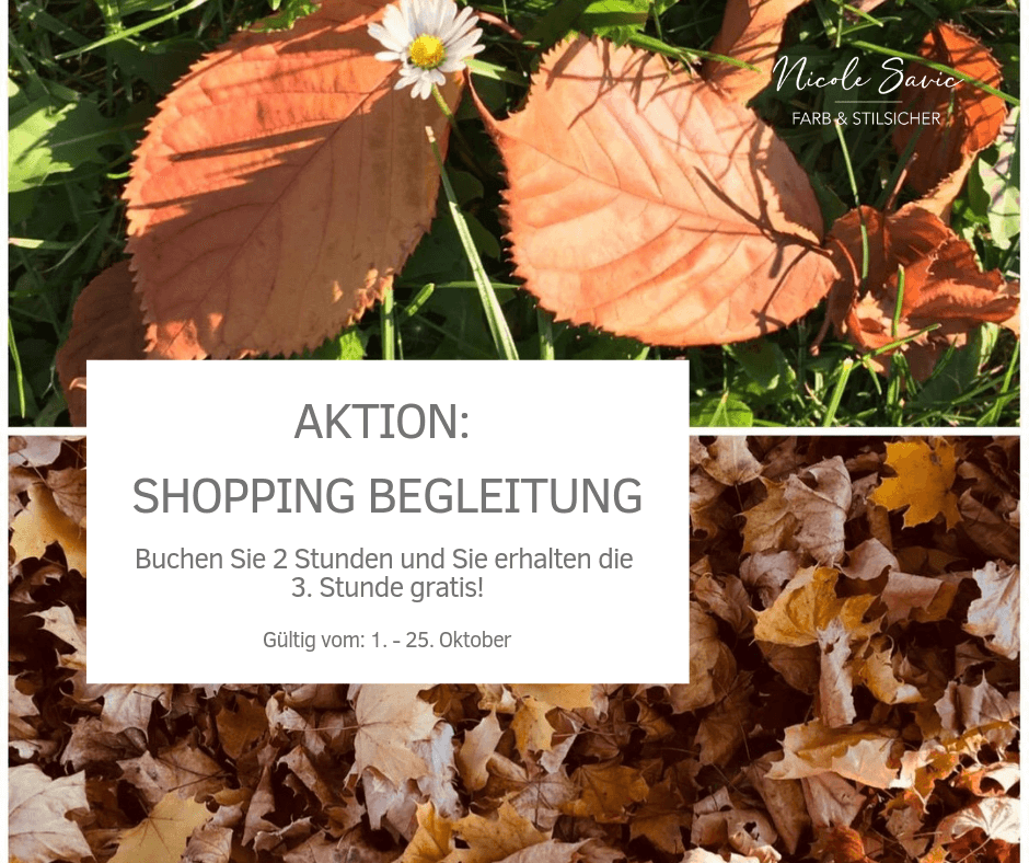 Aktion: Shopping Begleitung